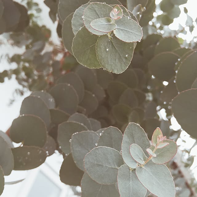 _9_2__3_1_さんの実例写真