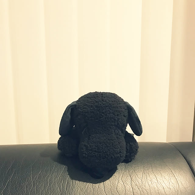 rinrinさんの実例写真