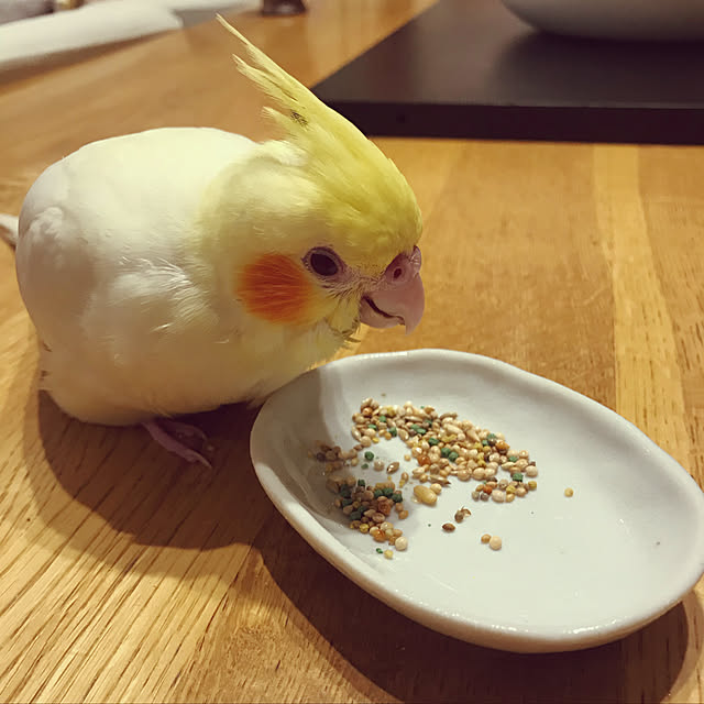 yukkieさんの実例写真