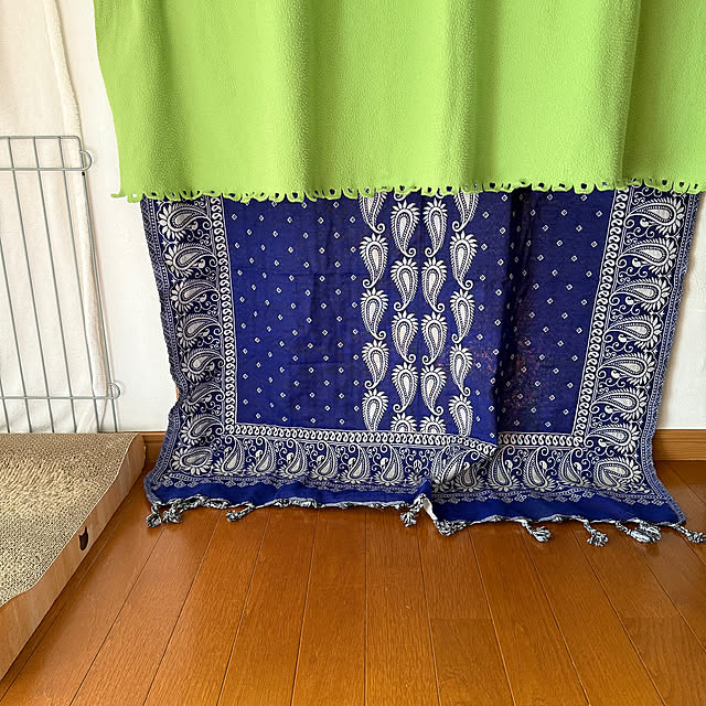 cat-number9さんの部屋