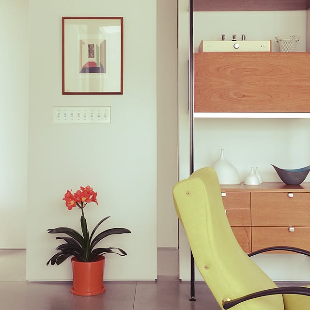 Shinjiさんの実例写真