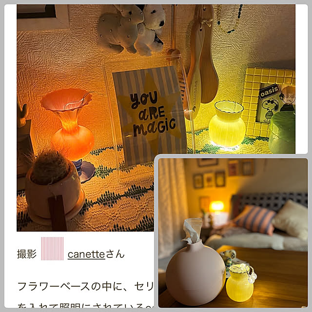 canetteさんの実例写真