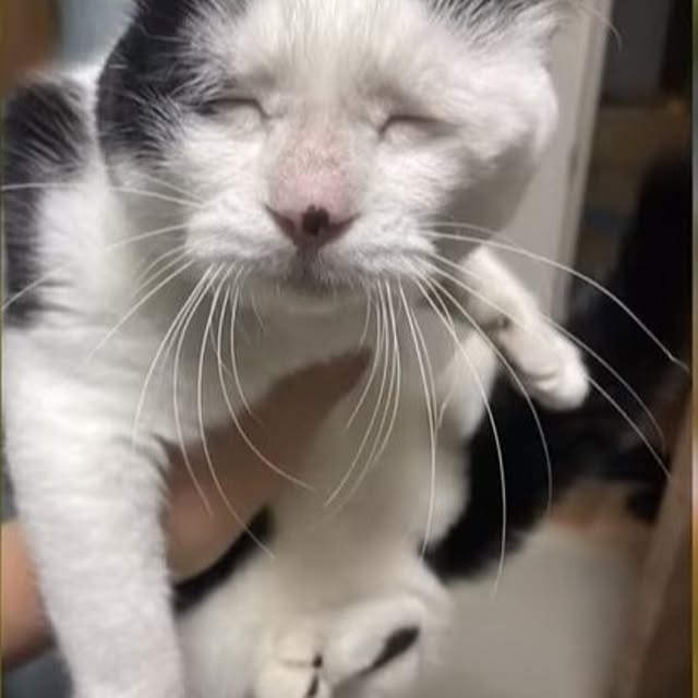 Tackunさんの実例写真