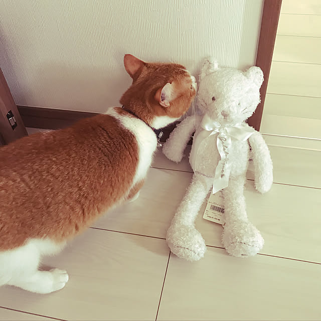 KotarouKunさんの実例写真