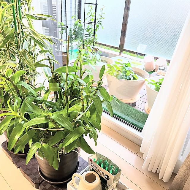 love1017さんの部屋