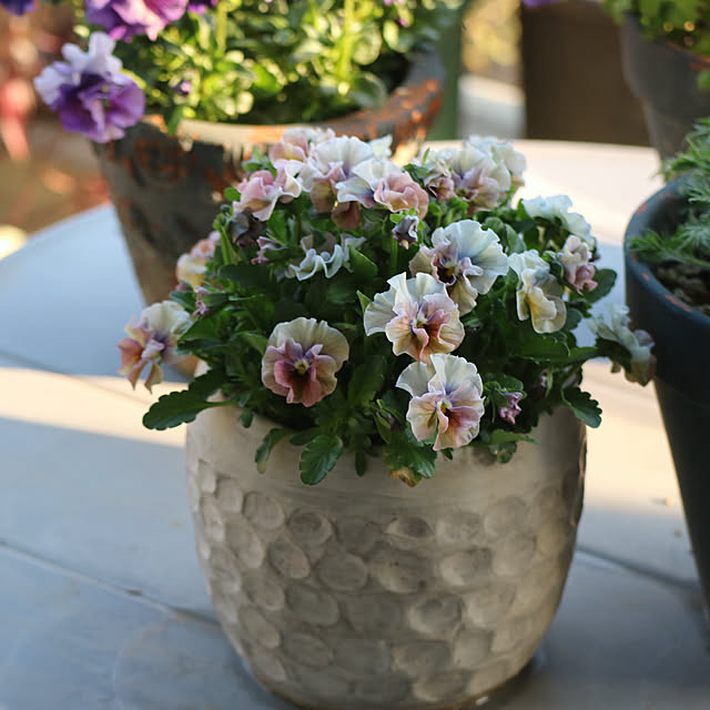 rokokoさんの実例写真