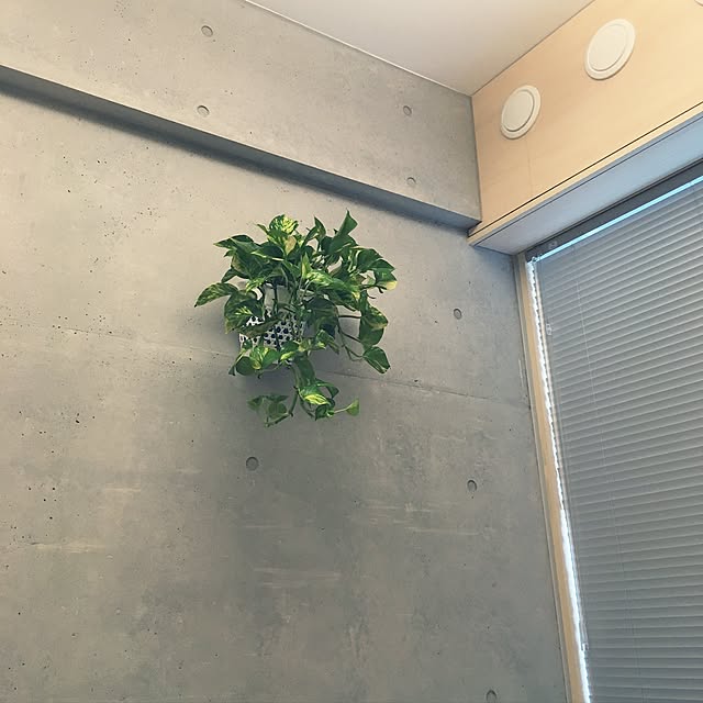 amさんの実例写真