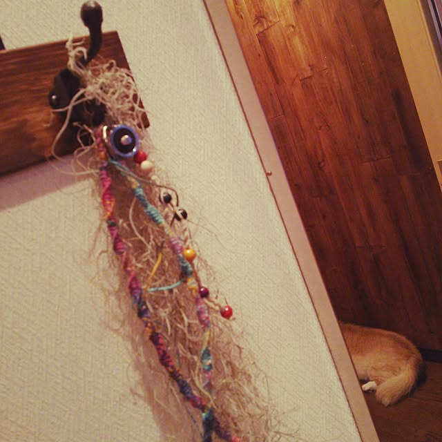 anさんの実例写真