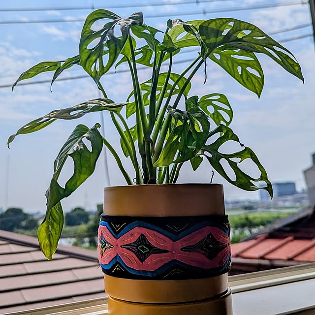 GREENTさんの部屋