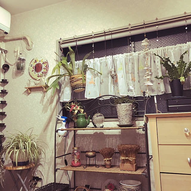 nachiさんの実例写真