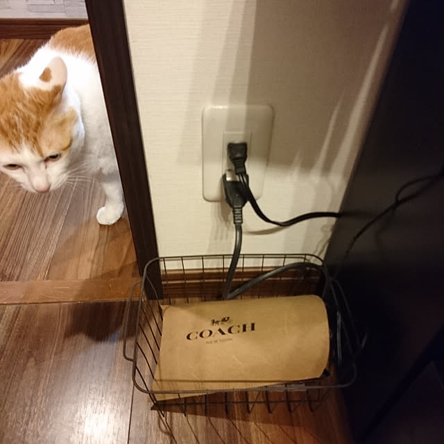 porinさんの実例写真