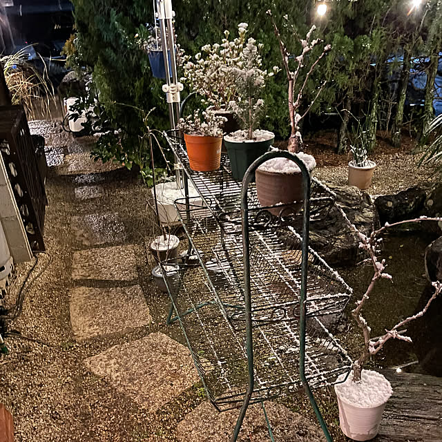 shin0719さんの部屋