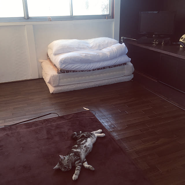 KINGさんの実例写真