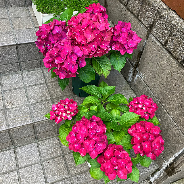 maron915さんの部屋