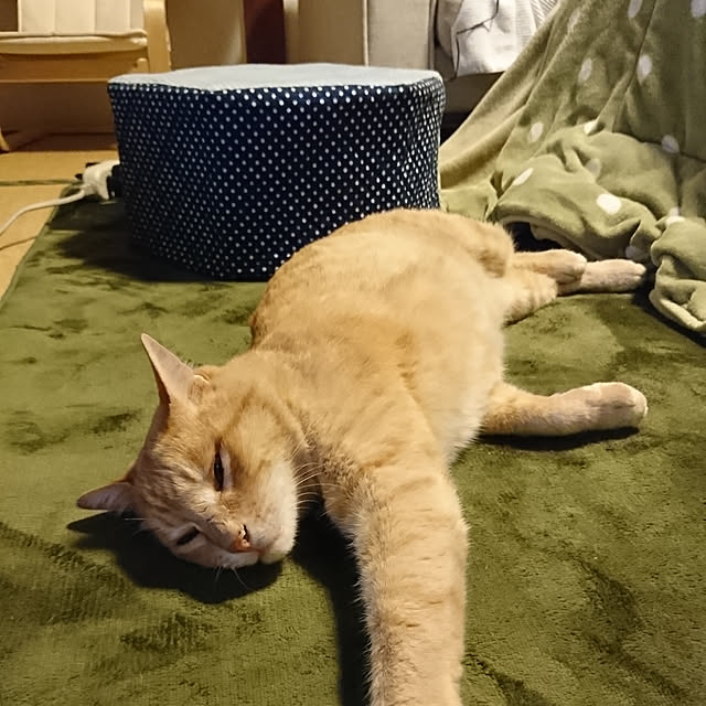 keiさんの実例写真