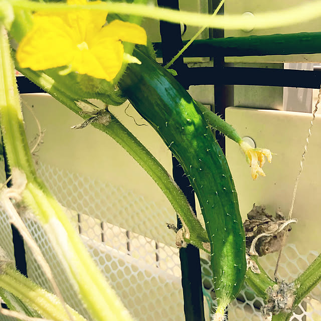 tomoさんの部屋
