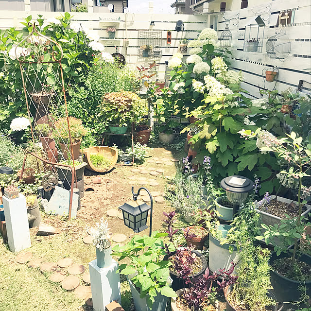 kokko3さんの実例写真