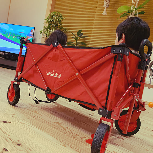 kaeさんの実例写真