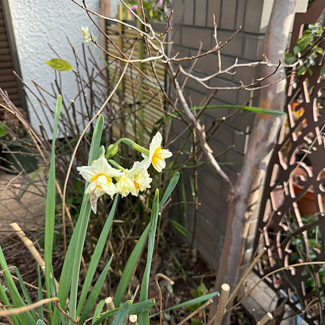 mamizaさんの部屋