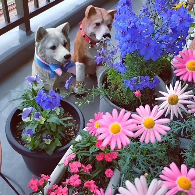 NOAHさんの部屋