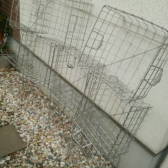 denkoさんの実例写真