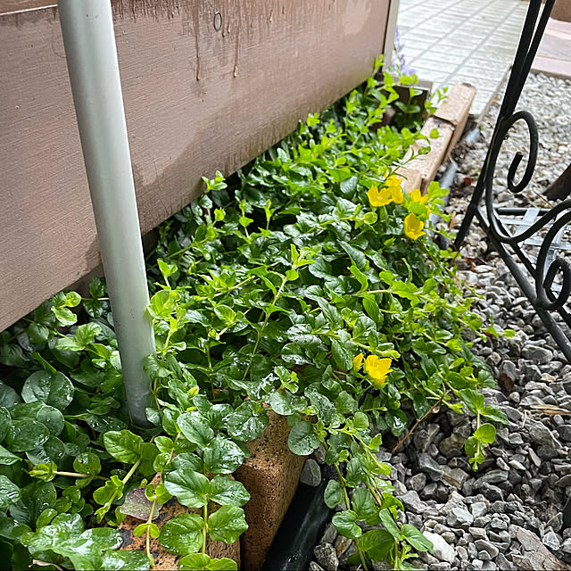ronronさんの実例写真