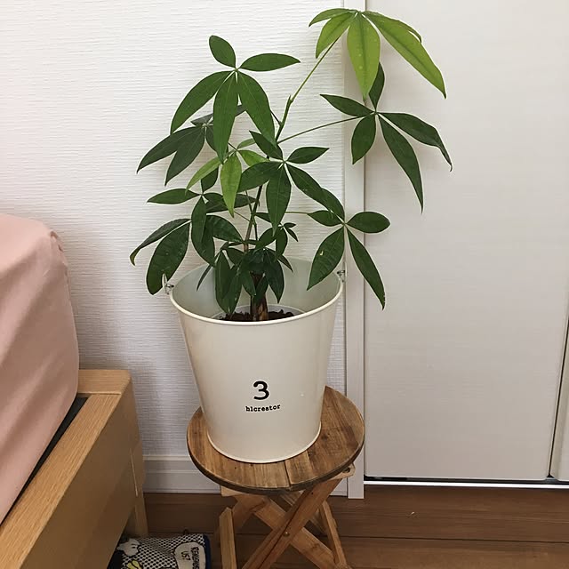 lunamamajunkoさんの実例写真