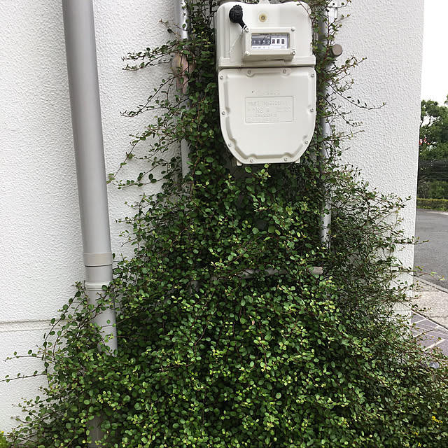 tomotomoさんの実例写真
