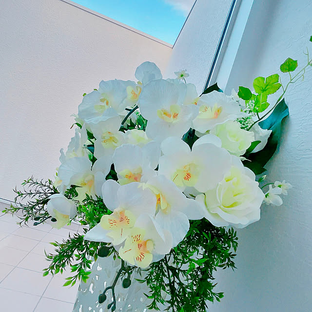 rei_d-_-bさんの部屋