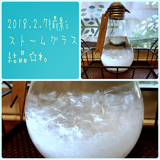 haruさんの実例写真