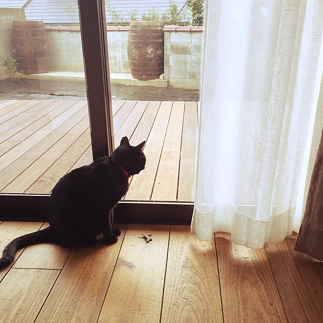 Manamiさんの実例写真
