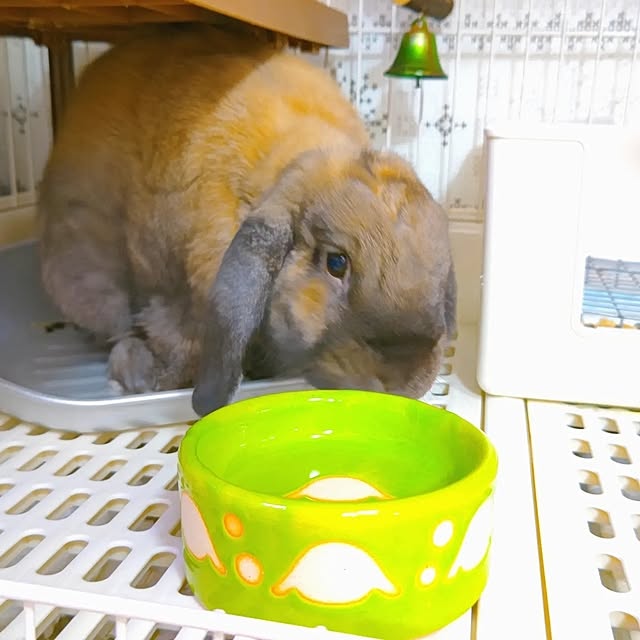 mariaさんの部屋