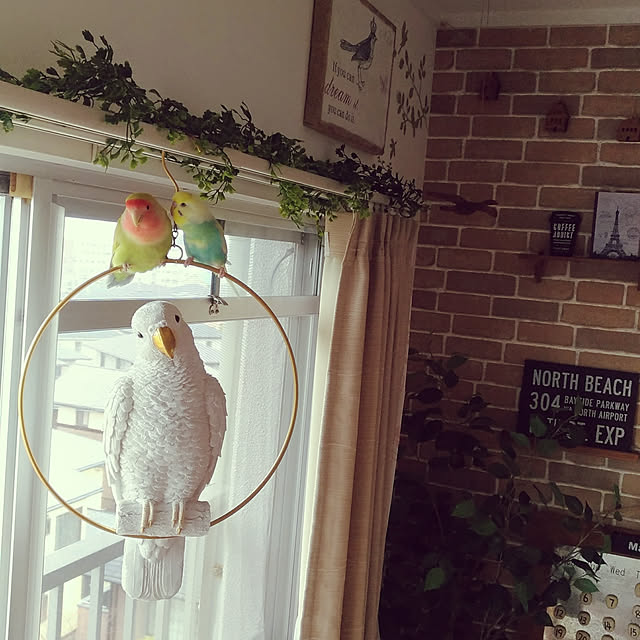 yukkieさんの実例写真