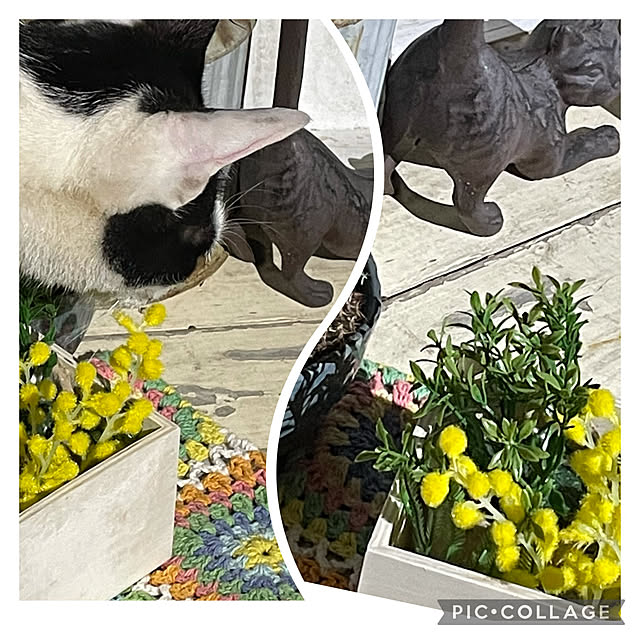 nobikoさんの実例写真