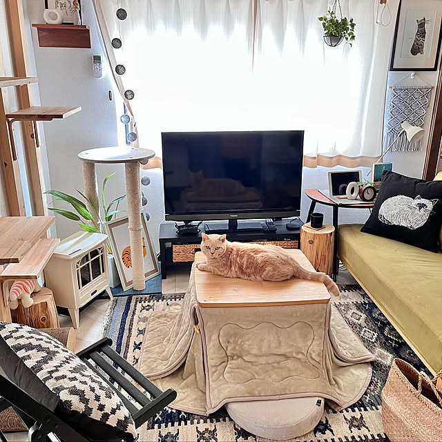 kiyomiさんの実例写真