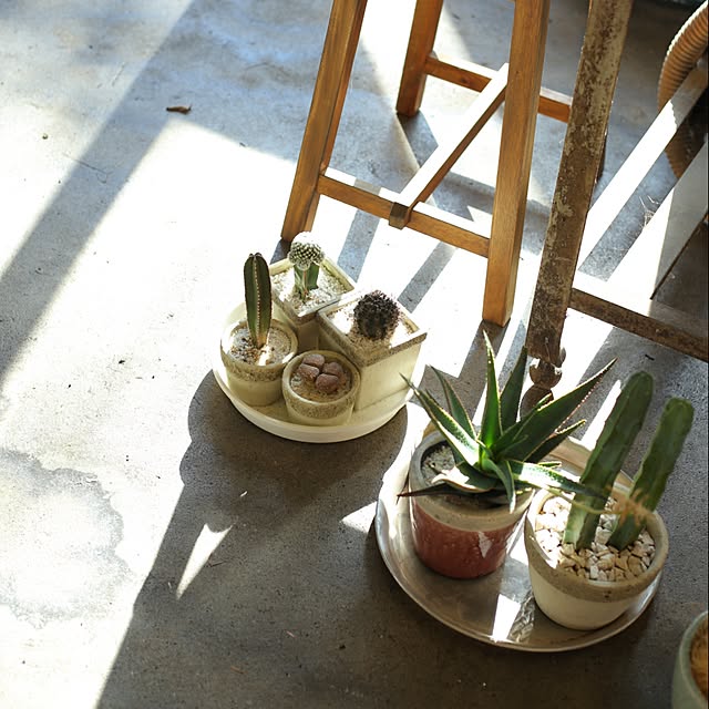 MyPlaceStoreさんの実例写真