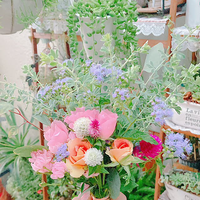 Hanakaさんの部屋