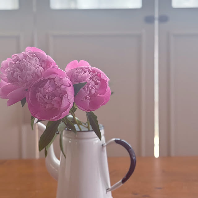 机/DIY/ピオニー/芍薬/花のある暮らしのインテリア実例 - 2025-05-07 09:29:15