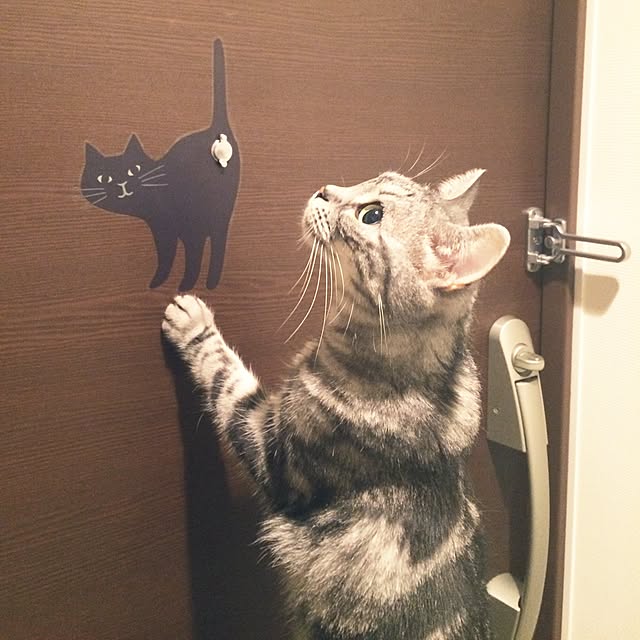 mikomaruさんの実例写真