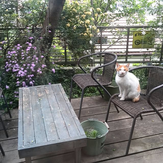 ayuさんの実例写真