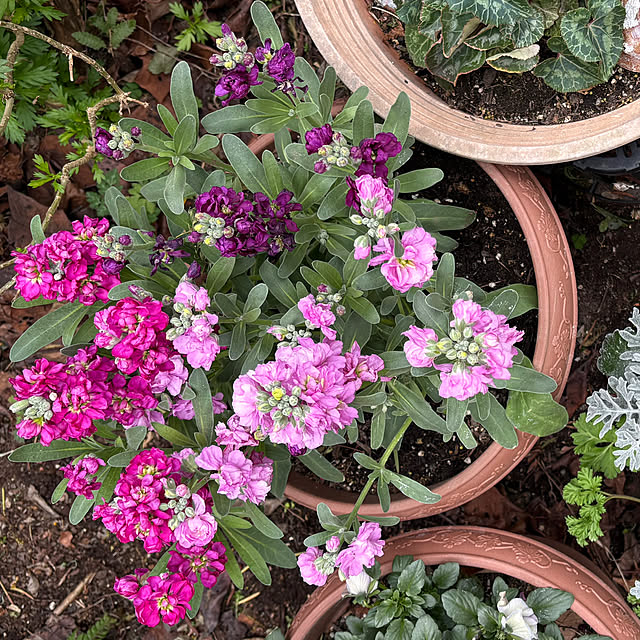 ChiCoさんの部屋