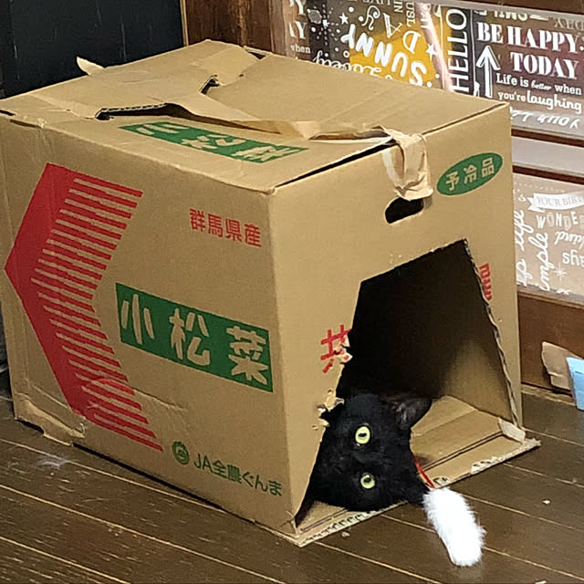 vivienne.coco-keiさんの実例写真