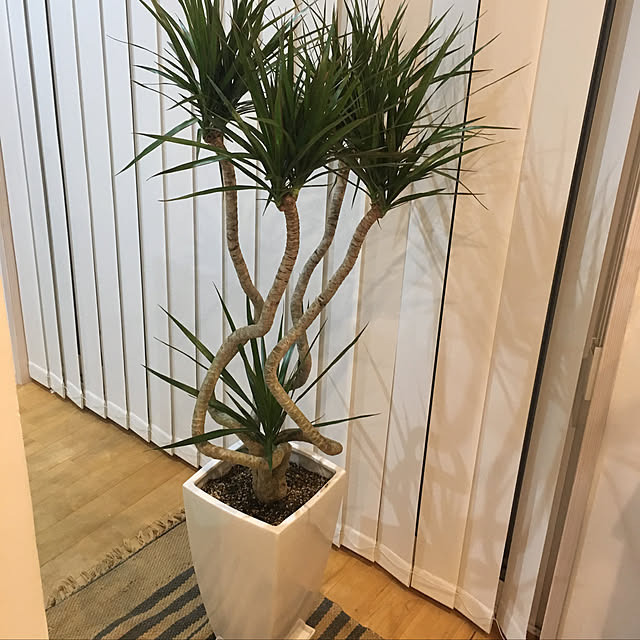 0727Macoriさんの実例写真
