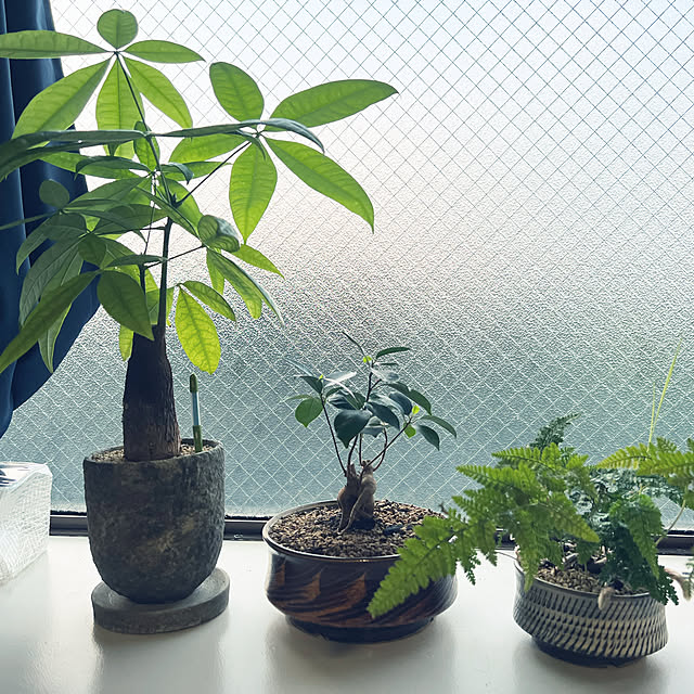 szkさんの実例写真