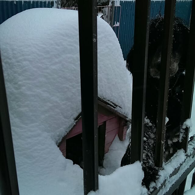 tibiさんの実例写真