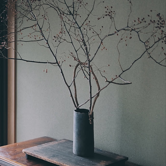 平屋暮らし/グリーンのある暮らし/カメラ/玄関/入り口/引っ越しましたのインテリア実例 - 2020-06-15 13:38:09