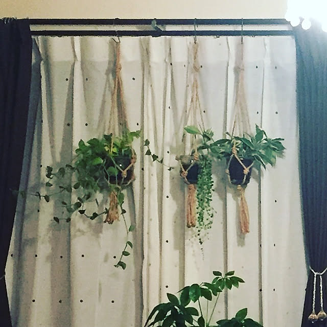 カーテン/観葉植物/壁/天井のインテリア実例 - 2019-11-18 16:57:50
