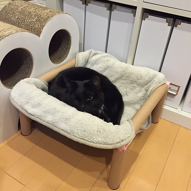 yuki0511さんの実例写真