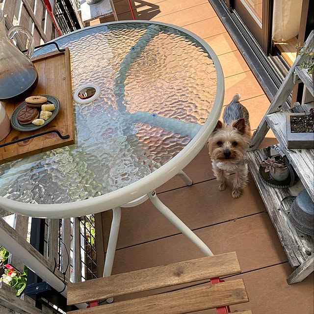 mayuoさんの実例写真