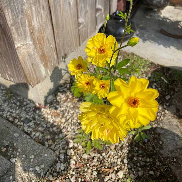 shin0719さんの部屋